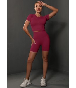 Бесшовный женский фитнес комплект Crop T-Shirt+Tracks Push Up 24 (Jester red)